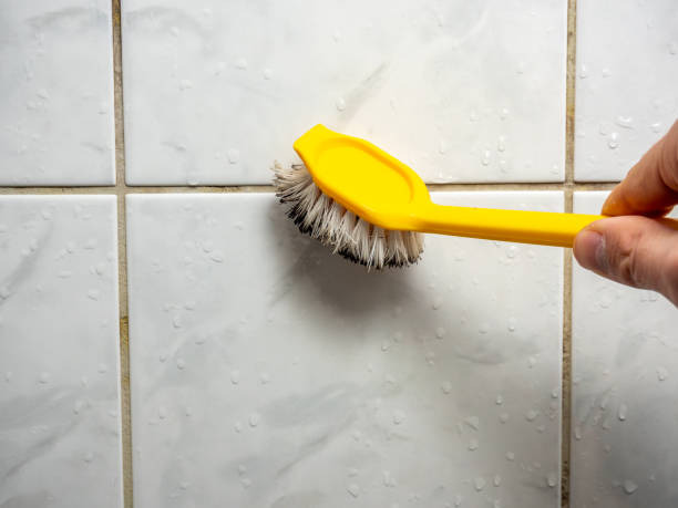 Best Home Mold Removal  in Robert Lee, TX
