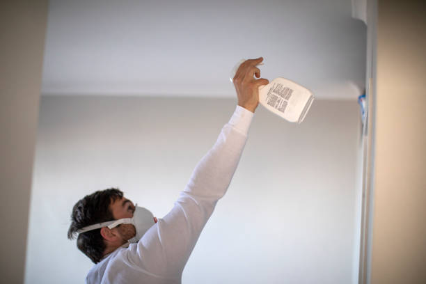 Best Residential Mold Removal  in Robert Lee, TX
