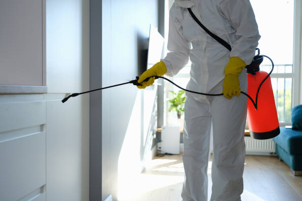 Best Crawl Space Mold Removal  in Robert Lee, TX