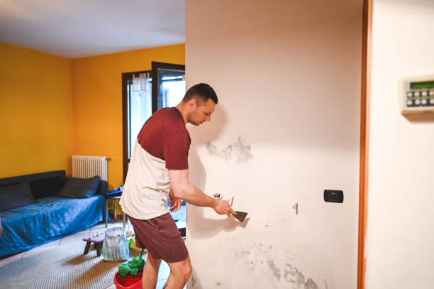 Best Mold Damage Repair  in Robert Lee, TX